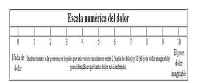 escala-numerica-dolor