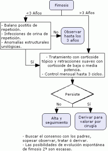 fimosis-algoritmo-tratamiento